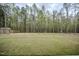 Spacious backyard with mature trees, offering privacy and a natural backdrop at 185 W Amber Oak Dr, Selma, NC 27576