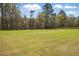 Expansive backyard with lush green grass and mature trees offers ample space for recreation at 216 Meadow Walk Dr, Fuquay Varina, NC 27526
