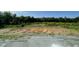 A partially cleared building lot boasts a promising landscape for development at 249 Spilona Way # 64, Four Oaks, NC 27524