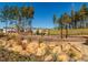 Enjoy this park area with trees, rocks, bench and sunshade in this community at 249 Wendover Pkwy, Pittsboro, NC 27312