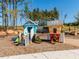 A community playground with Market and Cafe playhouses at 249 Wendover Pkwy, Pittsboro, NC 27312