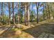 Serene yard with mature trees providing shade and natural beauty at 3022 Dixon Rd, Durham, NC 27707