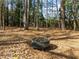 Wooded backyard with fire pit, offers relaxing outdoor enjoyment at 317 Flatrock Ln, Holly Springs, NC 27540