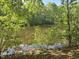 Picturesque lake view surrounded by lush greenery, offering a serene and private setting at 7825 Breckon Way, Raleigh, NC 27615