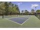 Well-maintained pickleball courts surrounded by trees, offering a recreational space for outdoor activities at 11251 Lofty Heights Pl, Raleigh, NC 27614