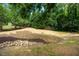 Lush backyard showcasing fresh mulch accents, scattered trees, and a dry creek bed at 122 W Union St, Hillsborough, NC 27278