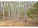 An unspoiled view of the land behind the house showing an abundance of bare trees and fallen leaves at 1808 W Cotton Gin Dr, Clayton, NC 27527