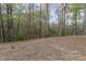 Large backyard with grass and trees at 191 W Cultivator Way, Clayton, NC 27520
