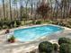 Backyard pool with mature landscaping, patio furniture, and a serene wooded backdrop at 120 Teasel Ct, Clayton, NC 27527