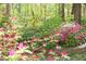 Colorful gardens with pink, white, and yellow flowers adding natural beauty to the landscape at 1309 Wakefield Farm Rd, Zebulon, NC 27597