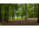 View of the property's verdant, mature trees with glimpses of the lake beyond at 301 Stone Currie Dr, Hillsborough, NC 27278
