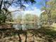 Scenic pond surrounded by mature trees offering a peaceful natural setting at 5520 Mccormick Rd, Durham, NC 27713