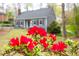 Close-up of bright red azaleas in front of a gray home, accentuating the natural beauty of the property at 5608 Ventura Dr, Durham, NC 27712