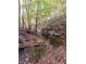 A peaceful stream flowing through the woods with vibrant fall foliage creating a serene natural setting at 6016 Glenthorne Dr, Raleigh, NC 27613