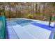 Overhead view of a community basketball court surrounded by mature trees and lush greenery at 6734 Chauncey Dr, Raleigh, NC 27615