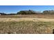 Spacious backyard with a view of a line of trees at 77 Heatherglenn Cir, Princeton, NC 27569