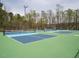 Well-maintained tennis courts surrounded by lush trees, providing a great space for recreational activities at 107 Canary Ct, Raleigh, NC 27610
