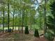 Picturesque backyard with mature trees and view of a tranquil lake at 117 Linwood Ln, Clayton, NC 27527