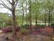 Mature trees and rhododendrons provide beautiful views of the lake from the backyard at 117 Linwood Ln, Clayton, NC 27527