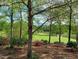Mature trees with a lake and golf course view provide a beautiful backdrop to the backyard at 117 Linwood Ln, Clayton, NC 27527