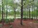 Backyard featuring trees, flowering bushes, and a view of the golf course and lake at 117 Linwood Ln, Clayton, NC 27527