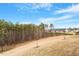 Green grassy backyard with wooded lot, and the house in the background at 1243 White Flint Cir, Durham, NC 27703
