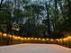 Backyard sports court features a basketball hoop, tall privacy fence, and ambient string lights at 136 Ashlyn Ridge Dr, Garner, NC 27529