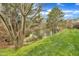 Overgrown yard and stagnant canal behind the property at 208 Chandler Chase Ct, Morrisville, NC 27560