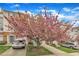 Townhome front view with flowering tree and attached garages on a bright, sunny day at 208 Chandler Chase Ct, Morrisville, NC 27560