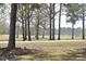 Scenic view of the golf course with mature trees and a paved path at 218 Keith Hills Rd, Lillington, NC 27546