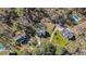 Overhead view of several homes with mature trees, lawns, and private driveways at 3424 English Cir, Willow Springs, NC 27592