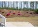 Beautifully landscaped backyard with a nice view at 370 Chapel Ridge Dr, Pittsboro, NC 27312