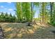 Green backyard with mature trees and lawn at 374 Ashley Woods Ct, Clayton, NC 27527