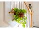 Staircase featuring a hanging plant, wooden banister, and view of the bright entryway at 4 Scottish Ln, Durham, NC 27707