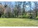 Expansive backyard with a well-maintained lawn and a natural wooded backdrop, offering a tranquil setting at 4308 James Rd, Raleigh, NC 27616