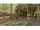 The backyard with mature trees and partial fencing, great for pets, children, or private relaxation at 7317 Mill Ridge Rd, Raleigh, NC 27613