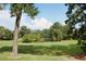 Scenic view of a pond surrounded by lush trees and green grass at 1159 Belfair Way, Chapel Hill, NC 27517