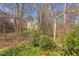 Secluded backyard featuring mature trees and serene landscaping at 125 Long Shadow Pl, Durham, NC 27713