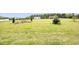 Vast backyard featuring a storage shed, manicured trees, and lush green grass at 127 Hurricane Aly, Benson, NC 27504