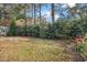 A home's backyard features dense privacy hedges and an open grassy area strewn with autumn leaves at 1312 Golden Bluff Ln, Fuquay Varina, NC 27526
