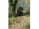 A view of the backyard shows the natural surroundings and peaceful environment at 141 N Bullock St, Henderson, NC 27536