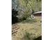 A view of the backyard shows the grassy area, trees, and foliage at 141 N Bullock St, Henderson, NC 27536