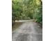 Long driveway leading to a private home surrounded by mature trees and lush greenery at 4001 W Antioch Dr, Oxford, NC 27565