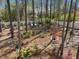 Secluded backyard features mature trees, lush landscaping, and stone accents at 49 Everwood Dr, Four Oaks, NC 27524
