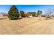 Expansive backyard with mature trees, partial fencing, and a glimpse of the home's exterior at 504 W Brocklyn St, Benson, NC 27504