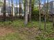 Backyard with trees and some other houses in the background at 5301 Tilford Ln, Raleigh, NC 27613