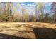 Picturesque backyard featuring an extensive grassy area surrounded by mature trees and dappled sunlight at 765 Carlton St, Clayton, NC 27520