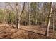 Natural wooded area showcases the property's peaceful and private setting with mature trees at 765 Carlton St, Clayton, NC 27520