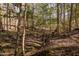 Lush wooded landscape with a trickling stream, featuring the property's natural beauty at 765 Carlton St, Clayton, NC 27520