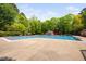 Large community pool with mature trees and a clear blue sky in the background at 101 Hunting Chase # 2B, Cary, NC 27513